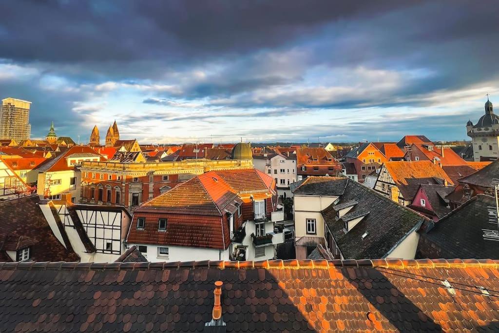 Aux Toits D'Alsace Διαμέρισμα Sélestat Εξωτερικό φωτογραφία